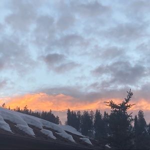 Meet your Posher, Maddie